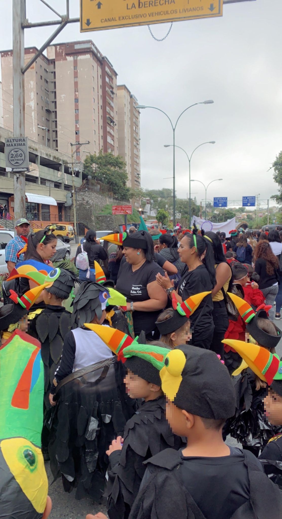 1er lugar Concurso de Comparsa para U.E.P. Colegio MATER DEI