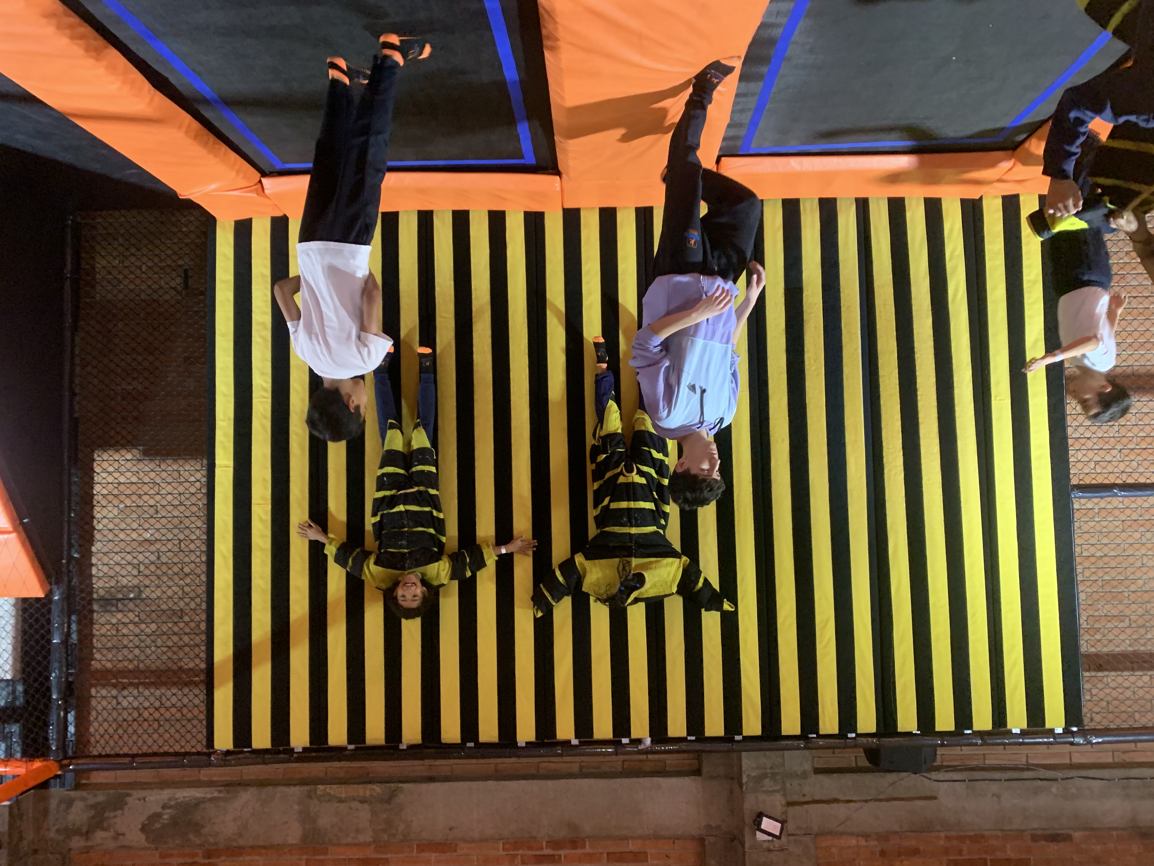 Paseo a KANGURO PARK