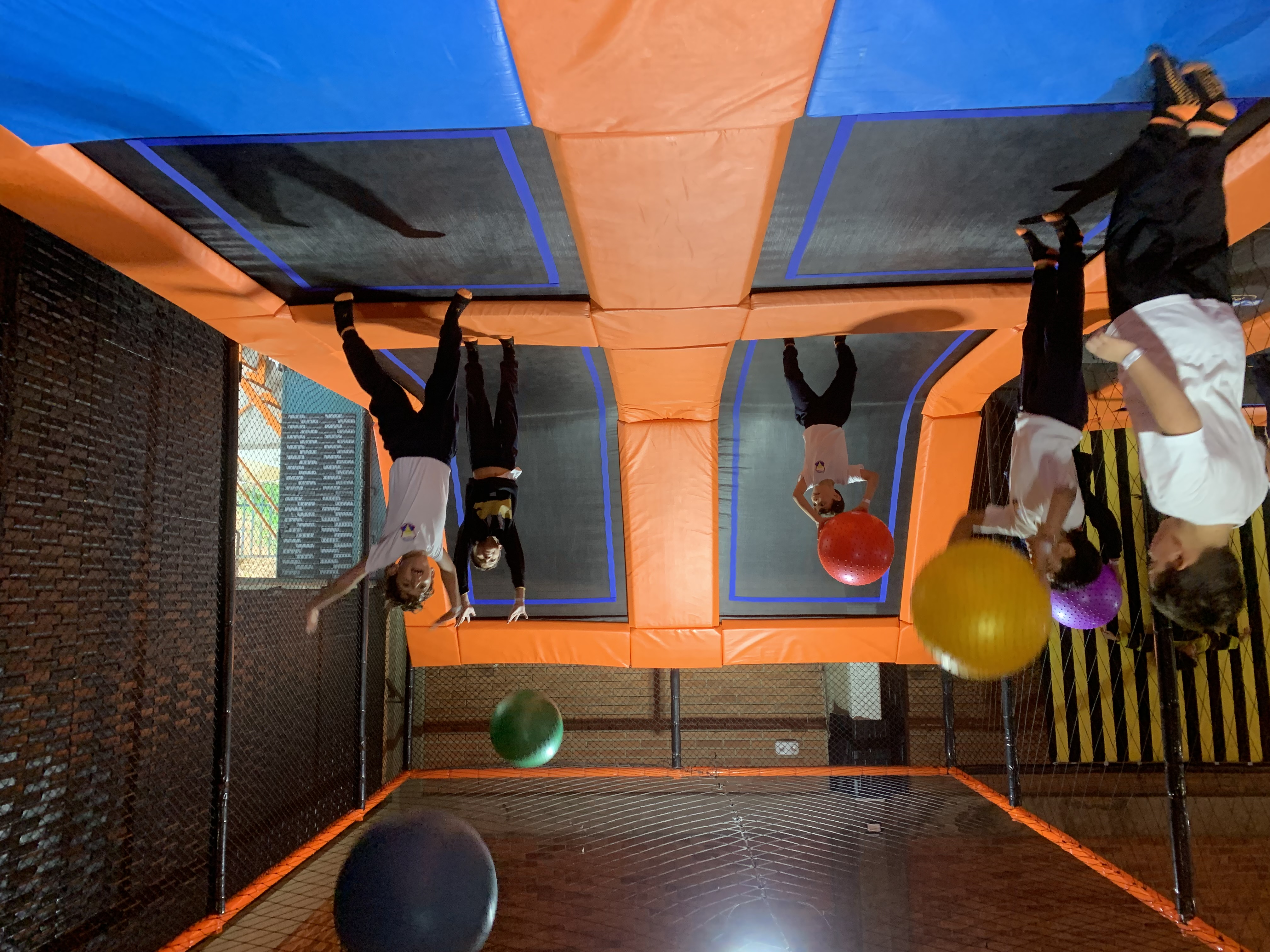 Paseo a KANGURO PARK